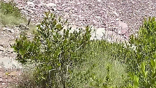 Super Risky Blowjob on Beach with 18yo Amateur Teen - Yoya Grey
