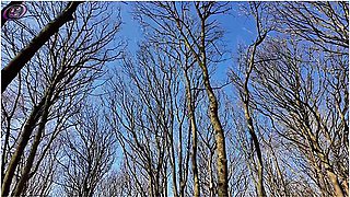 Squirting On The Beach With My Lush