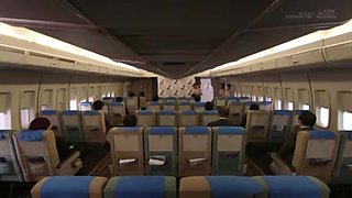 05232 Beautiful cabin attendant