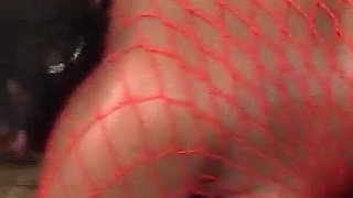 Blackie Curves Scene-3_black Lesbians with Huge Asses Fucking with a Strapon