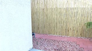 Whos Your Daddy Babe Hardcore Pornstar