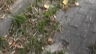 Wtf!! Fuckdate in the Middle of the Main Road!!