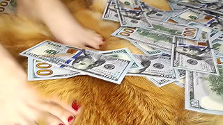 Findom: Cash Goddess Counts cash and Makes You Worship Her Cleavage and Feet