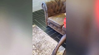 Czech amateur blowjob and fucking POV in public