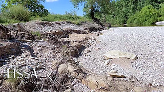 Walk in Wet Socks + Double Pee