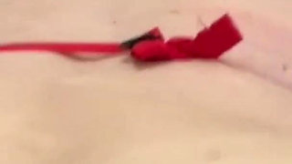 Teacher Needs My BBC