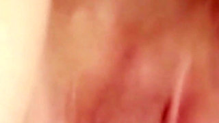 Pussy Delight - Colour Version