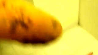 Brunette MILF sucks and fucks a big cock