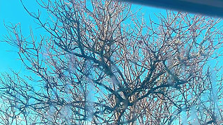 Piss Dirt Pussy Show up Nice View of Hana Chan Petite Girl