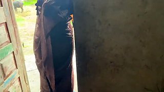 Desi Village Bhabhi Blowjob - Indian Aunty Sucks Devar Cock in Romantic Sex