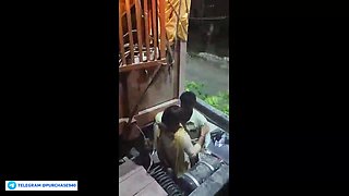 Legendary Instagram Viral Flick Of Car Driver Getting Gargle Fellatio On Open Road