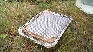 Outdoor Fucking Watched Passionately