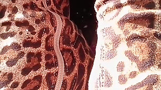 Box Crushing in Leopard Print Thigh High Boots - Kinkylyrical