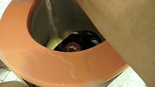 toilet slave training