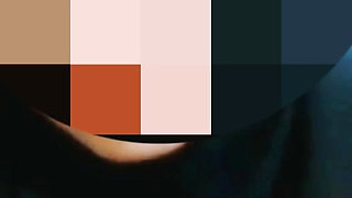 Cellphone screen recording during a video call with someone's wife