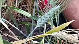 Outdoor fingerings young girl sadi clothes close from sisters outdoor sex girl hot beutiful sex