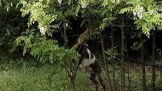 Blonde Pussy Licking Lesbians From Germany Having Fun Outdoor