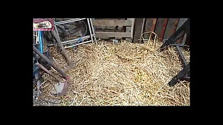 A Lesbian in a Haystack 3