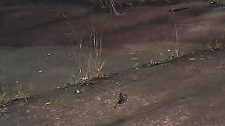 Two Hot Girls Caught Him Masturbating Inside the Car and Helped Him Cum