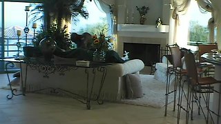 Shameless bimbo unbelievable adult scene
