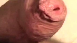 Big Latin Cocks An Up-Close Adventure