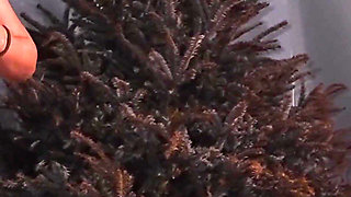 Step Mom & Daughter Play Rock Paper Scissors for Young Cock - Taboo FFM Threesome Domination