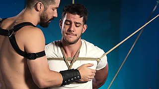 BDSM slave flogged and anal fucked!