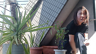 Peeing on a Potted Plant
