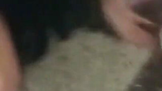 Student! Mexican Students! Home Video