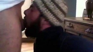 Bear Swallows Wrestling Coach