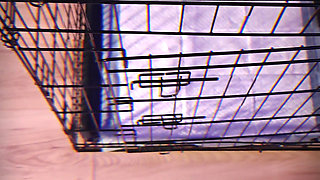 Arise, Slave! Admire - Mistress Julia