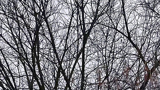 German Scout - Real Redhead Ginger Teen Alice Seduce with Small Tits First Pick up Porn Casting