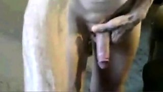 Skinny Grandpa Strokes