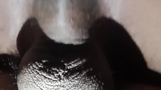 Sri Lankan Cheating Wife Fucked by Next Door Man in the Morning While I Calling Her Phone