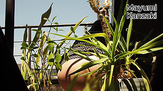 I Pee in the Potted Plant Again