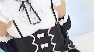 Japanese Anime Cosplay Rem -