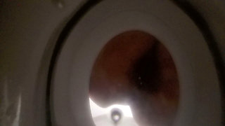 Bathroom-slave Toilet Peeking on Bellealiz Peeing and Farting