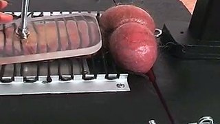 Cock Machine Ballbusting