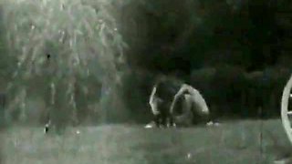 More Desire For Cock