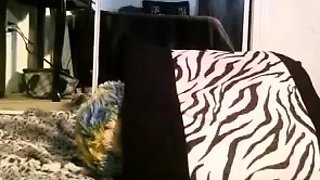 Cute blonde amateur webcam teen masturbating