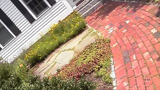 Mistress Irony Doms Jonny Houseboy Femdom Malesub Humiliation Gmwl3940