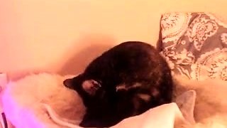 Close up teen pussy gaping action